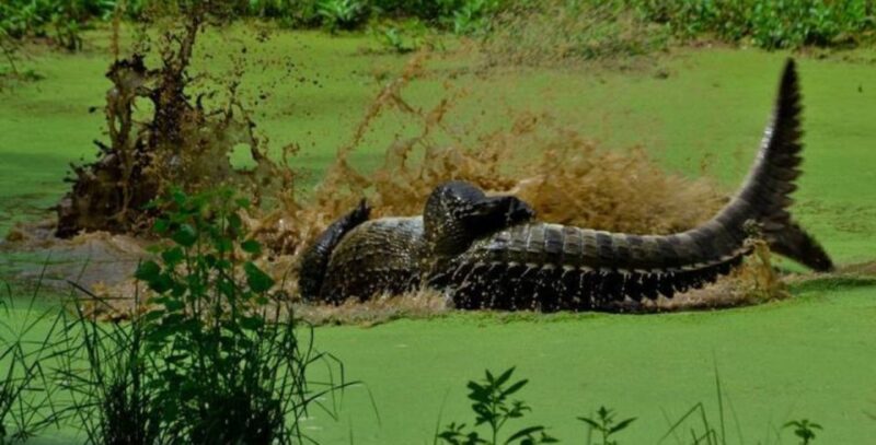 5-Day Nature Wildlife Photography Retreat - Pickup and Drop-off Locations
