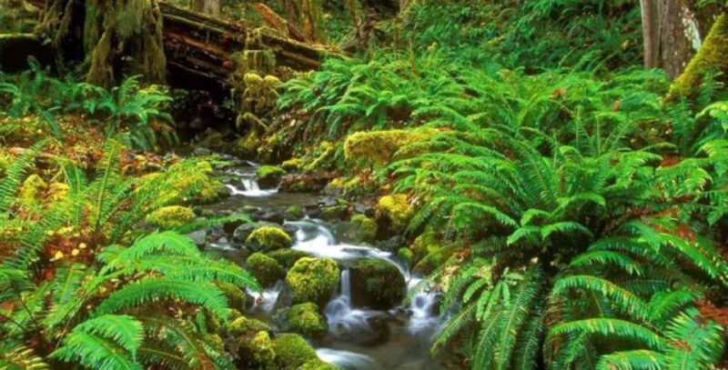 5-Day Nature Wildlife Photography Retreat - Wildlife Photography Opportunities