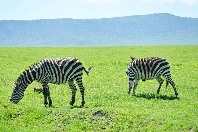 5-Day Ngorongoro Crater and Lake Manyara Safari From Arusha - Accommodations and Amenities