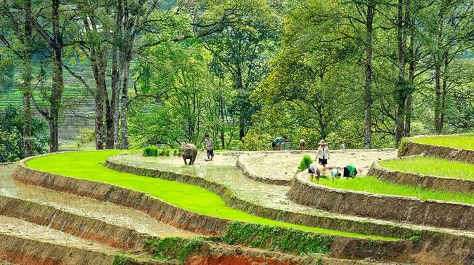 5-Day North Vietnam: Hanoi- Halong Bay - Ninh Binh -Sapa & Beyond - Pickup and Departure Details