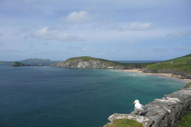 5-Day Northern Ireland and Atlantic Coast Small-Group Tour From Dublin - Traveler Feedback and Experience