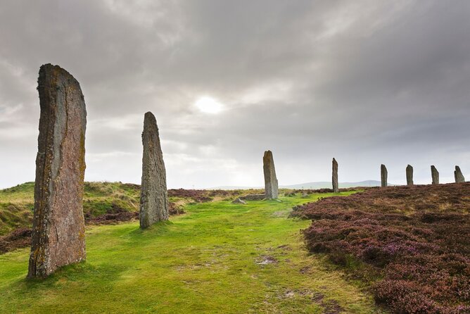 5 Day Orkney Islands Tour From Edinburgh - Traveler Feedback