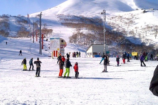 5 Day Paradise Kashmir Tour - Included Experiences