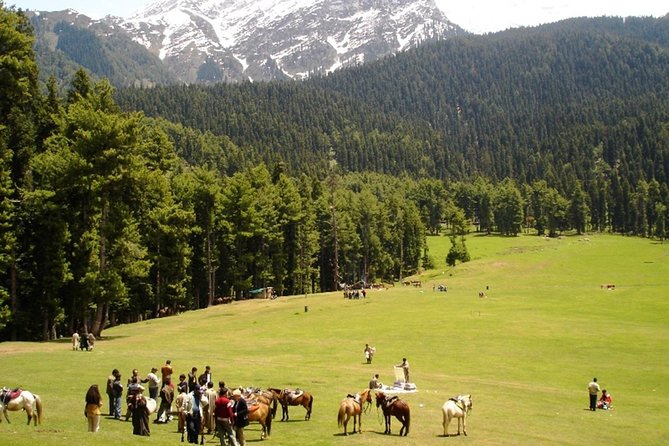 5 Day Paradise Kashmir Tour - Accommodation Details