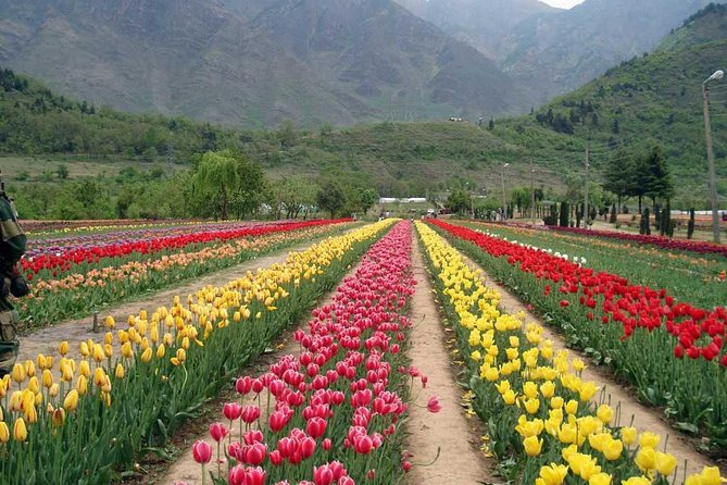 5 Day Paradise Kashmir Tour - Pricing and Cancellation