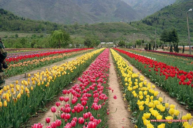 5 Day Paradise Kashmir Tour - Included Experiences