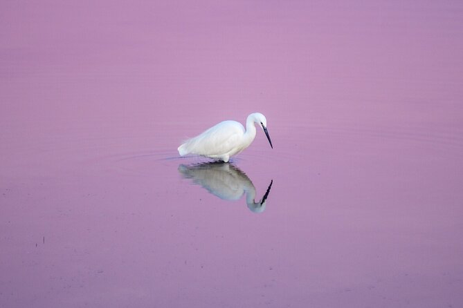 5-Day Photography and Gaze Education Course in Venice - Course Overview and Goals