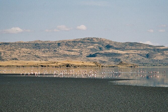 5-Day Private Adventure Tour to Ngorongoro Conservation Area - Frequently Asked Questions