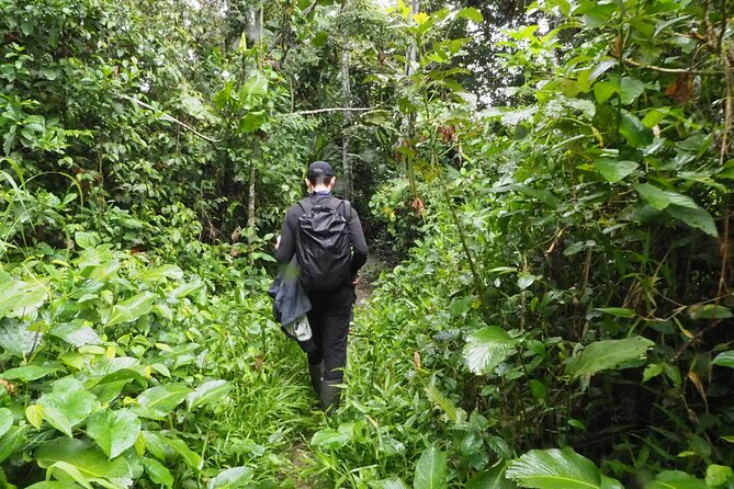 5-Day Private Extreme Amazon Experience - Crossing Into Perus Amazon
