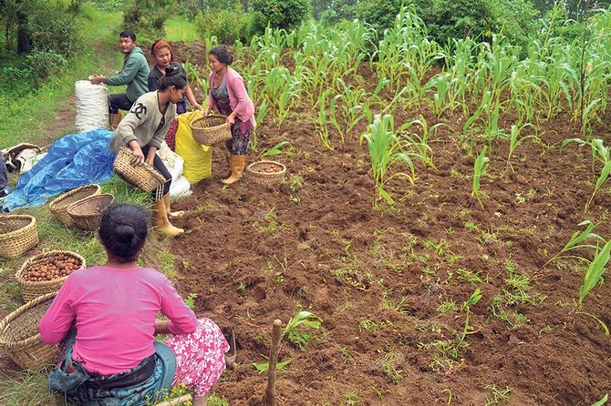 5-Day Private Farming Experience in Nayapul With Accommodation - Engaging With Nepals Farming Culture