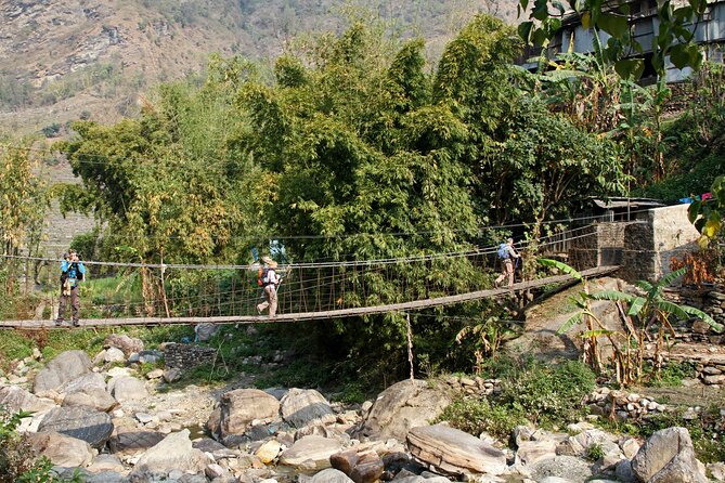 5-Day Private Farming Experience in Nayapul With Accommodation - Sustainable Agricultural Techniques Explored