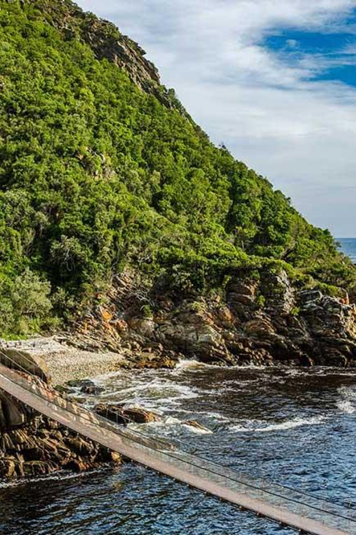 5-Day Private Garden Route Tour Package From Cape Town - Itinerary: Day 5 - Tsitsikamma National Park and Return