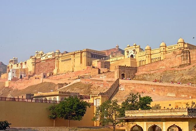 5-Day Private Golden Triangle Tour: Delhi, Agra and Jaipur - Tour Guide Information