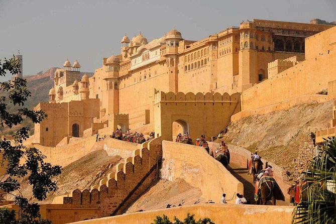 5-Day Private Golden Triangle Tour: Delhi, Agra, and Jaipur - Customer Experiences