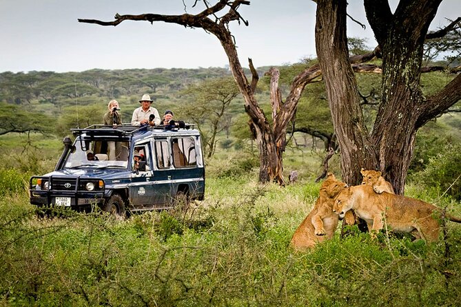5 Day Private Guided Wildebeest Migration Tour - Accommodation and Dining