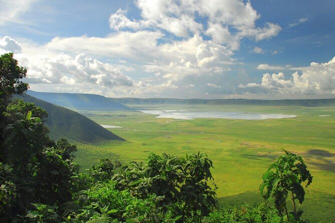 5 Day Private Guided Wildebeest Migration Tour - Transportation and Guides
