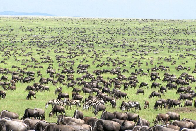5 Day Private Guided Wildebeest Migration Tour - Park Fees and Inclusions
