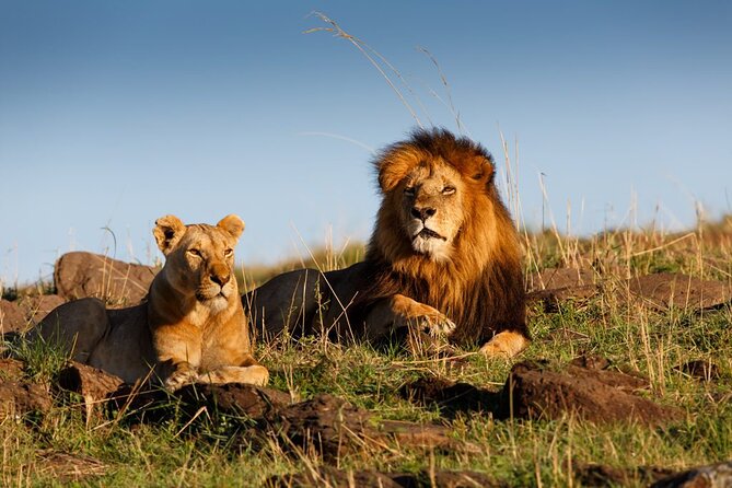 5 Day Private Guided Wildebeest Migration Tour - Cancellation and Booking Policy