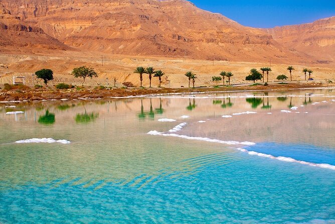 5-Day Private Jordan Tour: Petra, Wadi Rum and the Dead Sea From Amman - Private Tour Experience