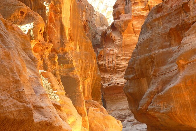 5-Day Private Jordan Tour: Petra, Wadi Rum and the Dead Sea From Amman - Pricing and Booking