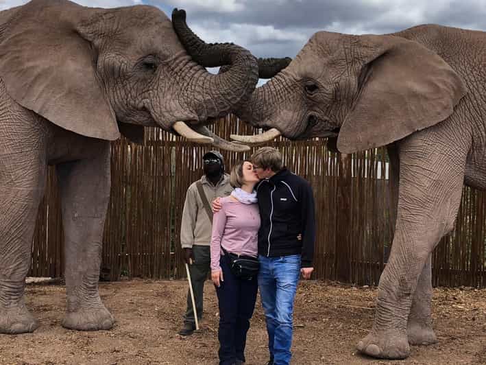 5 Day Private Luxury Safari Garden Route Classic From CPT - Key Points