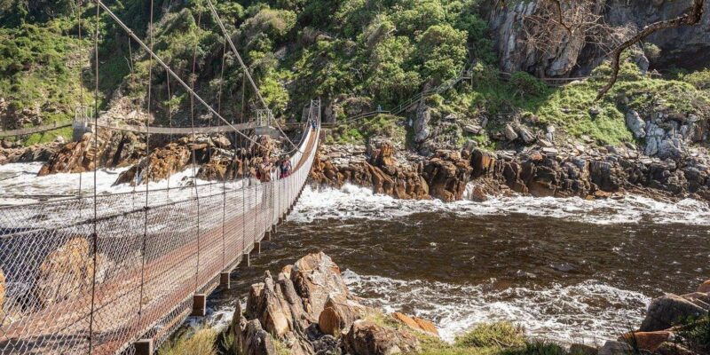 5 Day Private Luxury Safari Garden Route Classic From CPT - Important Information