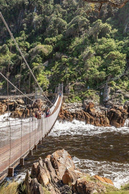 5 Day Private Luxury Safari Garden Route Classic From CPT - Frequently Asked Questions