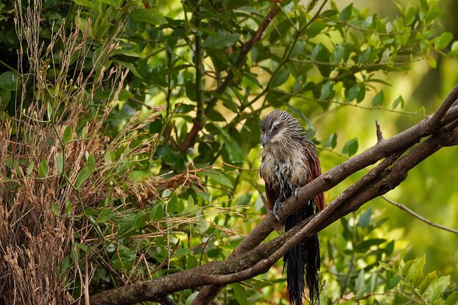 5-Day Private Midrange Tour in Arusha With Airport Pickup - Inclusions and Exclusions