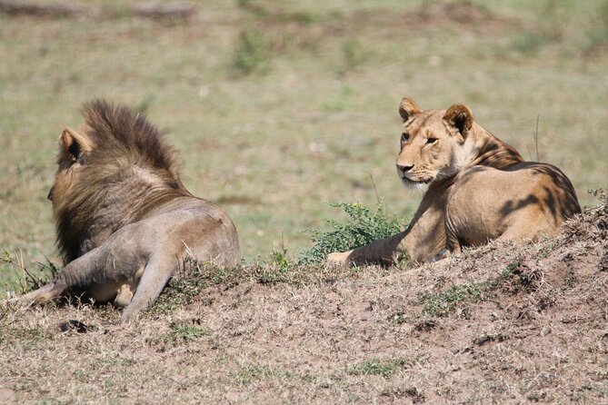 5-Day Private Northern Tanzania Safari From Arusha - Cancellation Policy