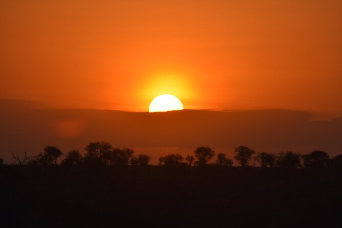 5-Day Private Safari in Serengeti Np & Ngorongoro Crater - Safari Itinerary Day 2