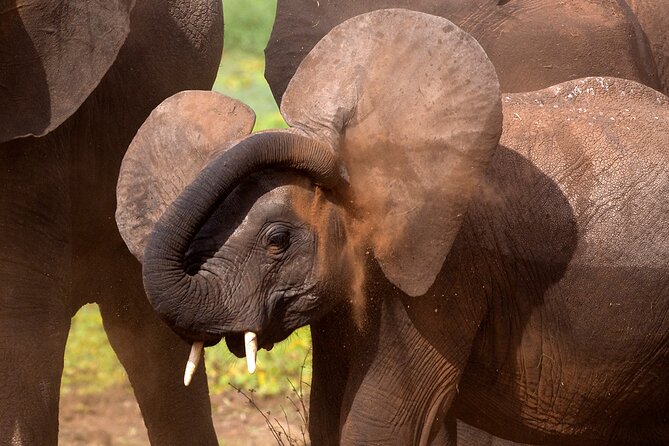 5-Day Private Safari Tour in Northern Tanzania - Pickup and Start Time