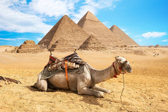 5-Day Private Sightseeing Tour in Cairo, Giza and Luxor - Inclusions