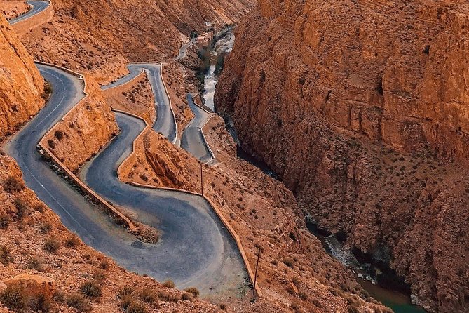 5-Day Private Tour From Chefchaouen to Desert and Marrakech - Reviews and Customer Feedback