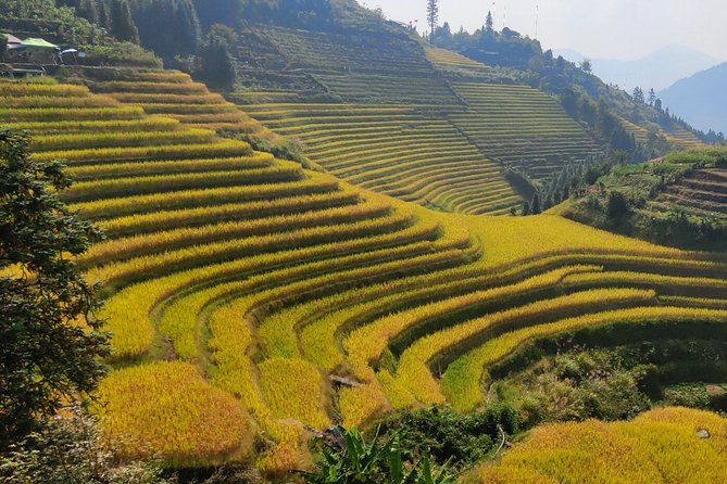 5-Day Private Tour From Guilin to Guangzhou - Sum Up