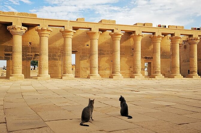 5-Day Private Tour in 5 Star Deluxe Nile Cruise From Luxor to Aswan - Inclusions and Exclusions
