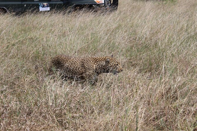 5-Day Private Tour in Kenyas Best Game Parks - Itinerary Overview