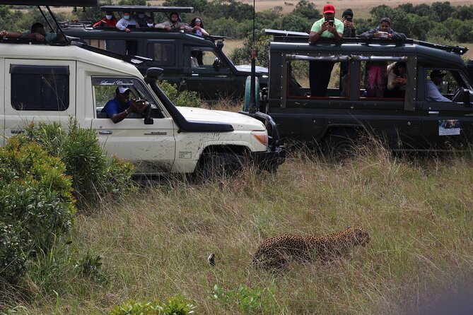 5-Day Private Tour in Kenyas Best Game Parks - Accessibility Features