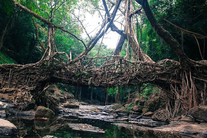 5-Day Private Tour in Meghalaya With Meals and Accommodation - Included Experiences