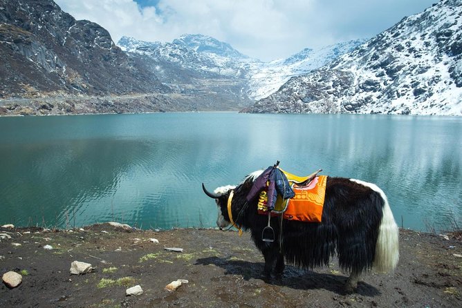 5-Day Private Tour of Gangtok and Darjeeling - Key Points