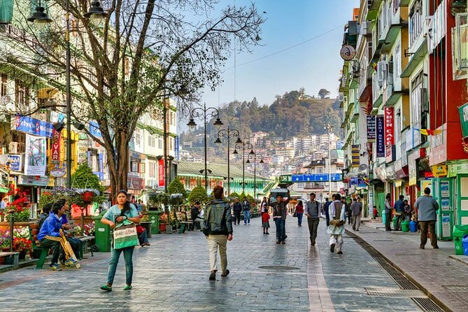 5-Day Private Tour of Gangtok and Darjeeling - Tour Accessibility