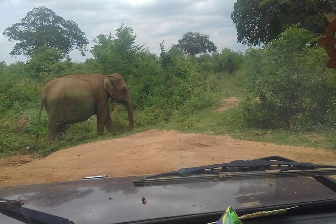 5 Day Private Tour Sri Lanka - Inclusions