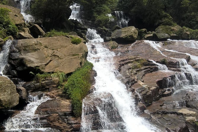 5 Day Private Tour Sri Lanka - Booking Details