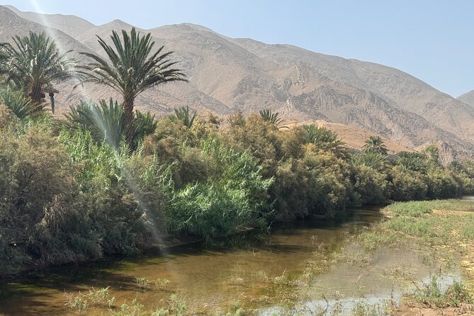 5-Day Private Tour to Sahara and Ergchebbi From Marrakech - Inclusions and Amenities