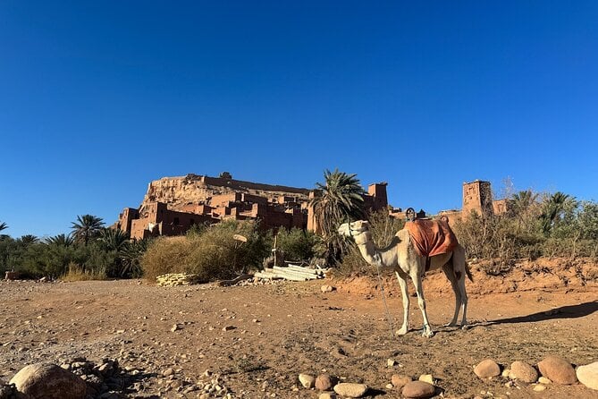 5-Day Private Tour to Sahara and Ergchebbi From Marrakech - Cancellation Policy
