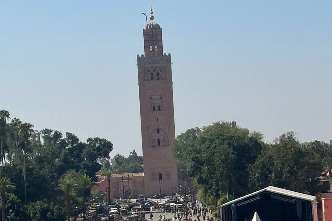 5-Day Private Tour to Sahara and Ergchebbi From Marrakech - Customer Reviews and Ratings