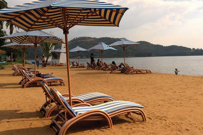 5 Day Rwanda Gorilla and Lake Kivu Safari - Encountering the Gorillas