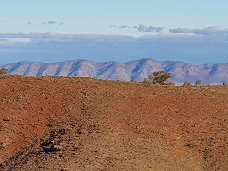 5-Day SA Outback Eco Tour From Coober Pedy to Adelaide - Trekking the Flinders Ranges