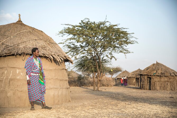 5 Day Safari Tour to Tarangire Lake Manyara and the Ngorongoro - Park Fees Included