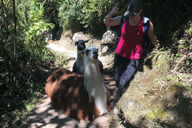 5-Day Salkantay Trek to Machu Picchu - Cancellation Policy