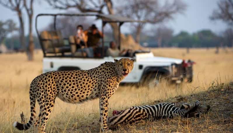5 Day Small Group Garden Route Tour From Cape Town - Wildlife Encounters